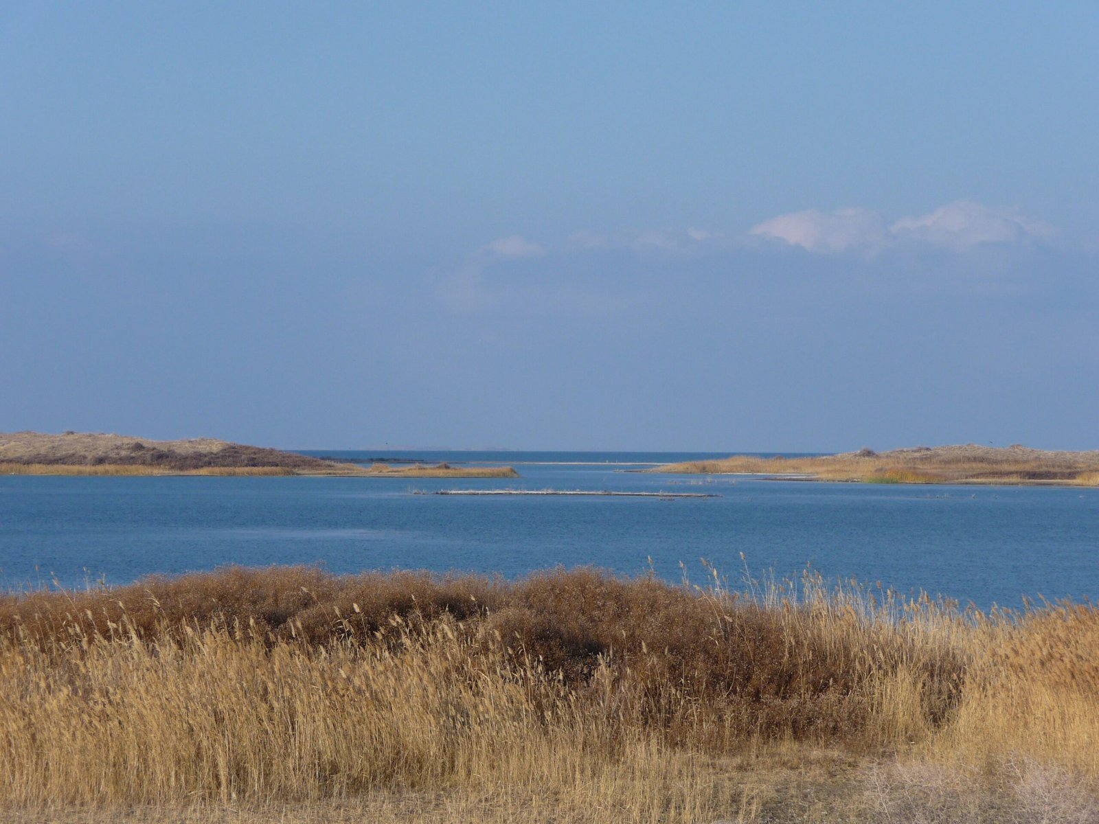 Aydar Lake Camping Tour from Samarkand