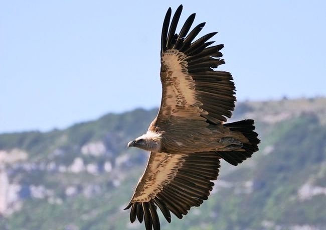 Aydar Lake Camping Tour from Samarkand