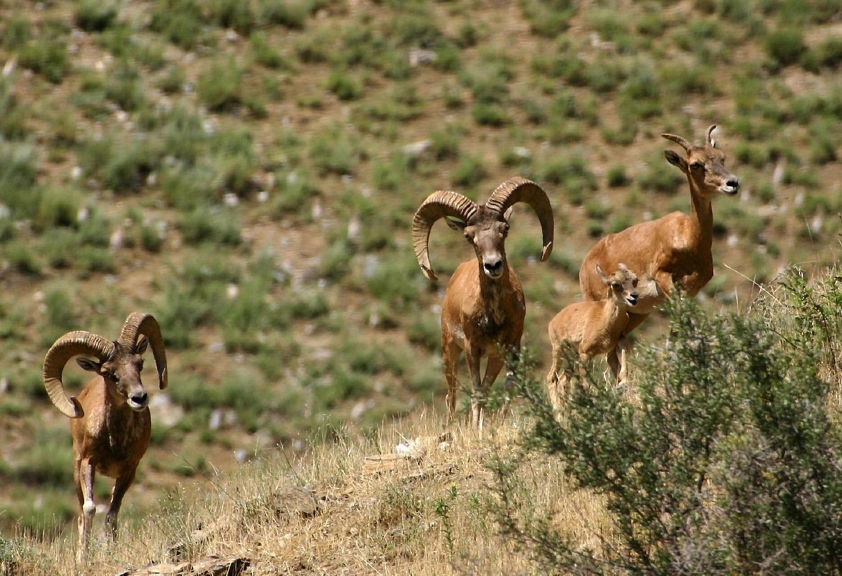 Nuratau Village Home Stay and Hiking Tours from Samarkand